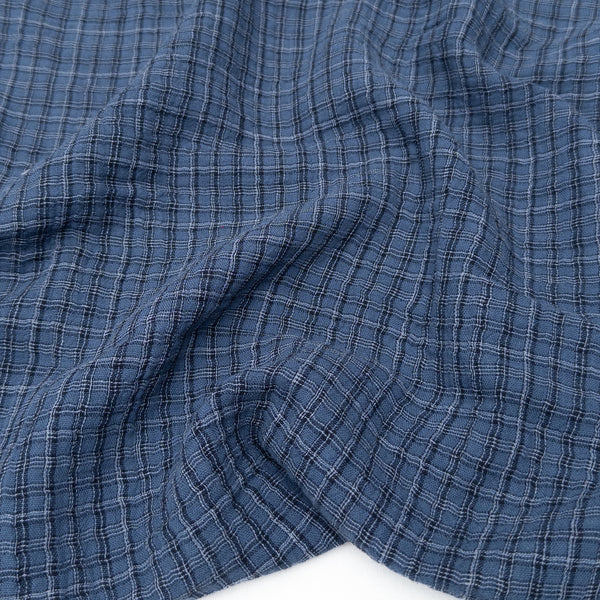 blueberry check